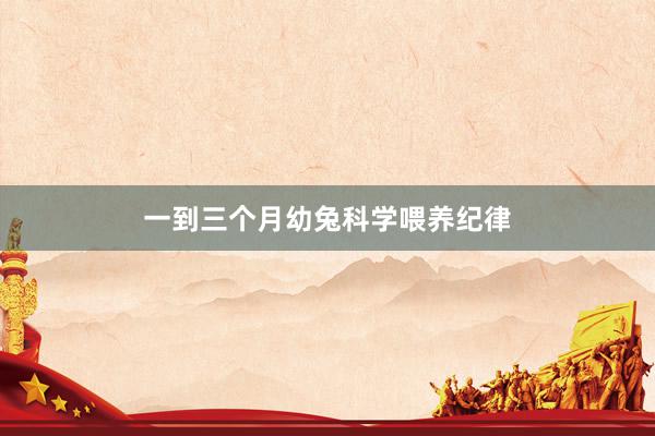 一到三个月幼兔科学喂养纪律