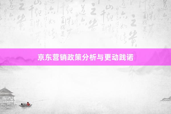 京东营销政策分析与更动践诺